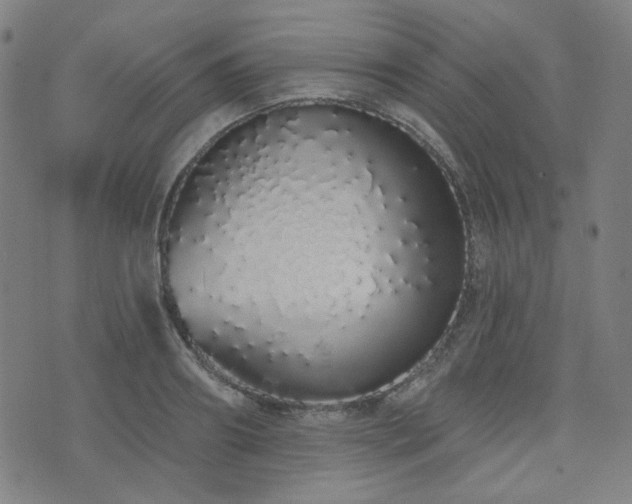 X0000072990890200607211156