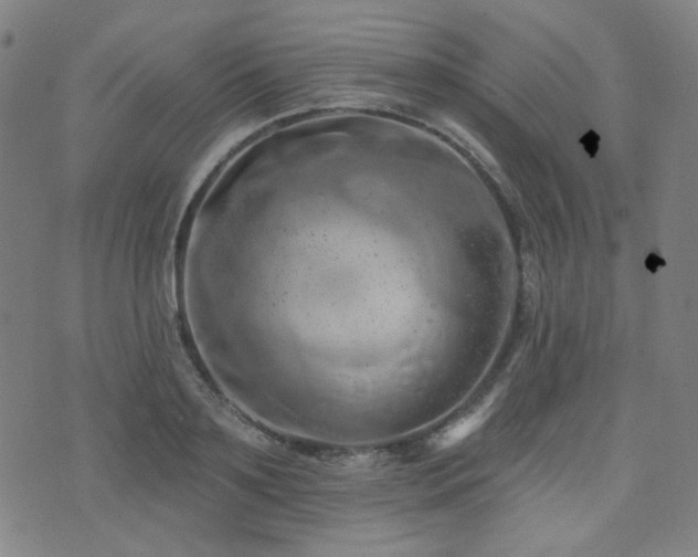 X0000072990891200607211156