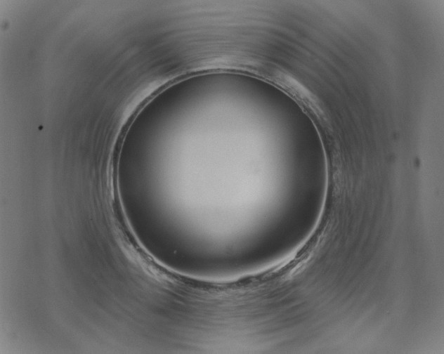 X0000072990892200607211156