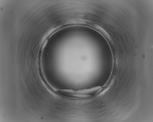 X0000072990893200607211156