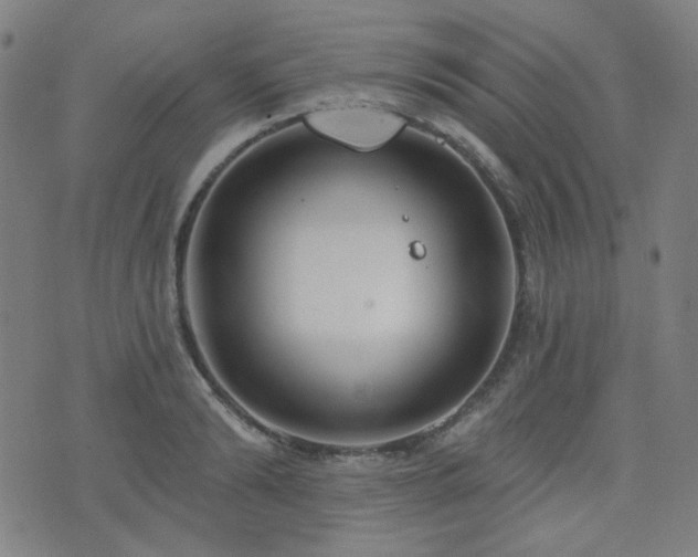 X0000072990894200607211156