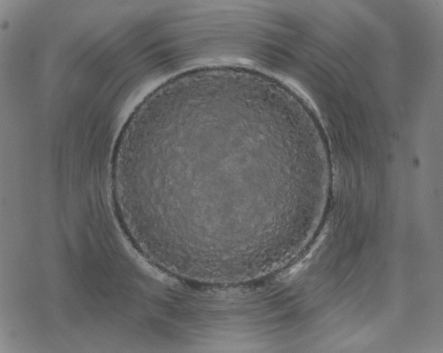 X0000072990895200607211156