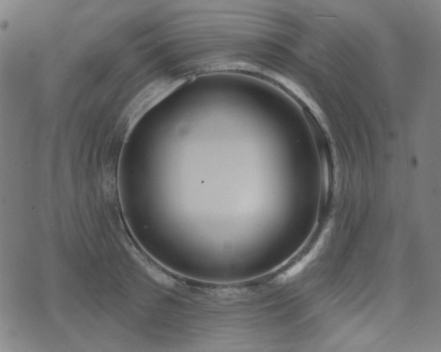 X0000072990897200607211156