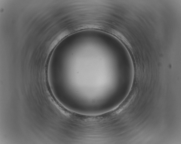 X0000072990898200607211156