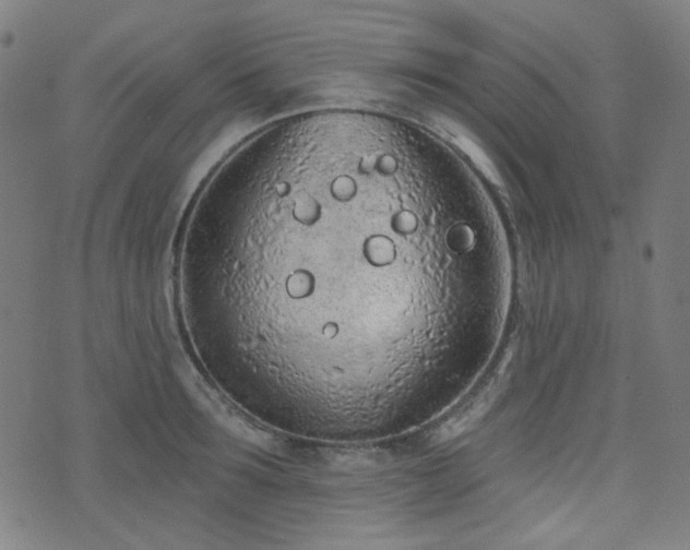 X0000072990899200607211156