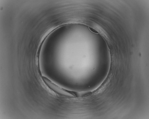 X0000072990900200607211156