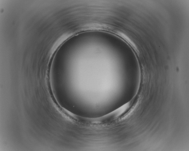 X0000072990901200607211156