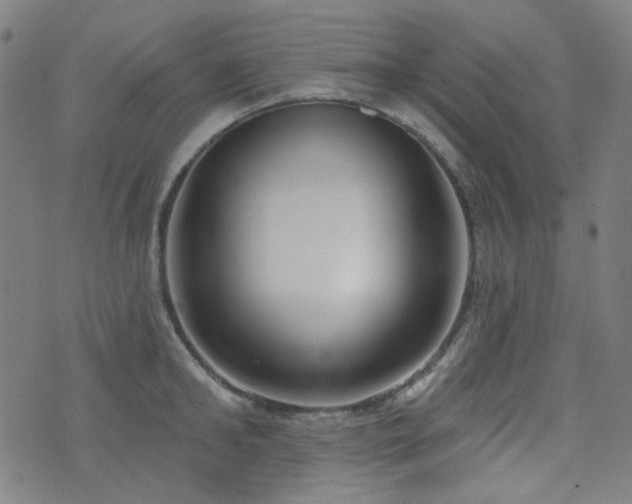 X0000072990902200607211156