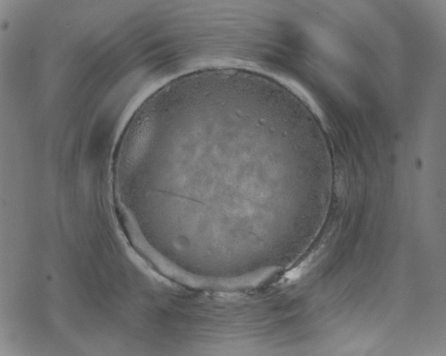 X0000072990903200607211156