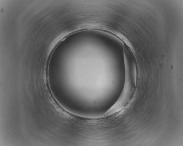 X0000072990904200607211156