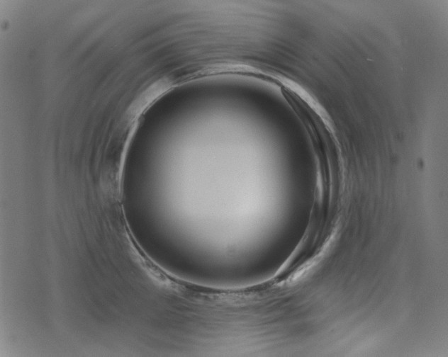 X0000072990905200607211156