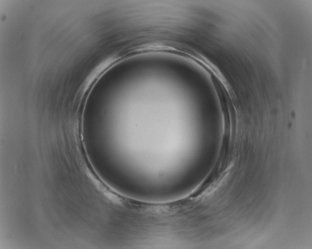 X0000072990909200607211155
