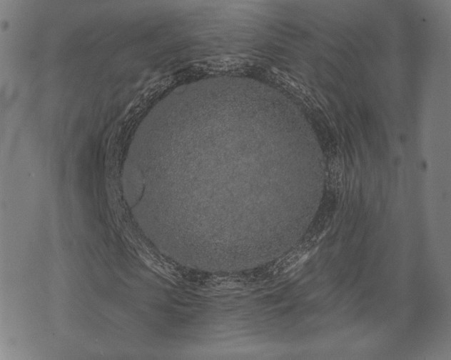 X0000072990913200607211155