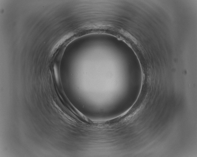 X0000072990922200607211155