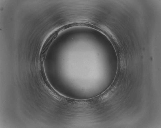 X0000072990924200607211155