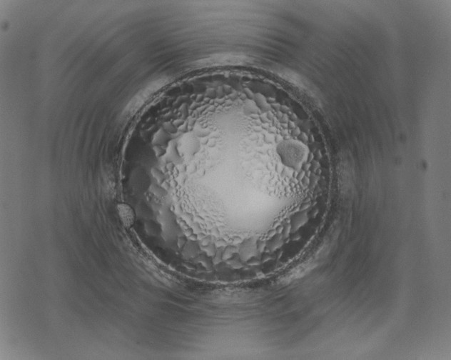 X0000072990929200607211155