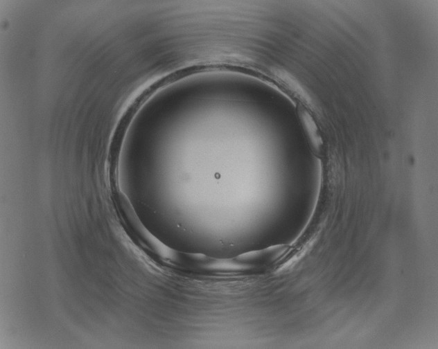 X0000072990932200607211155