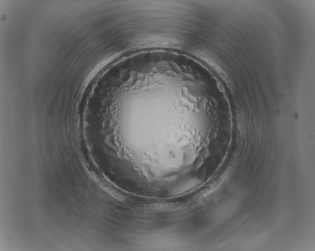 X0000072990933200607211155