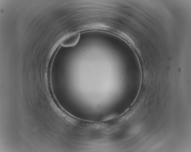 X0000072990947200607211155