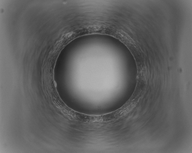 X0000072990961200607211155