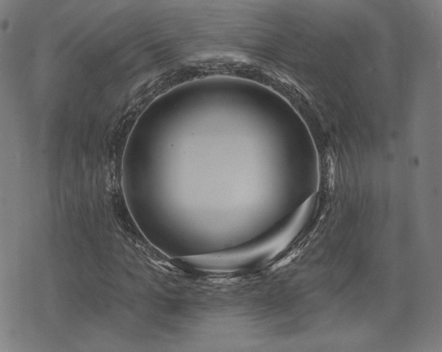 X0000072990965200607211155