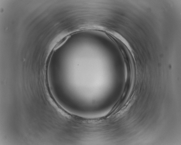 X0000072991005200607211154