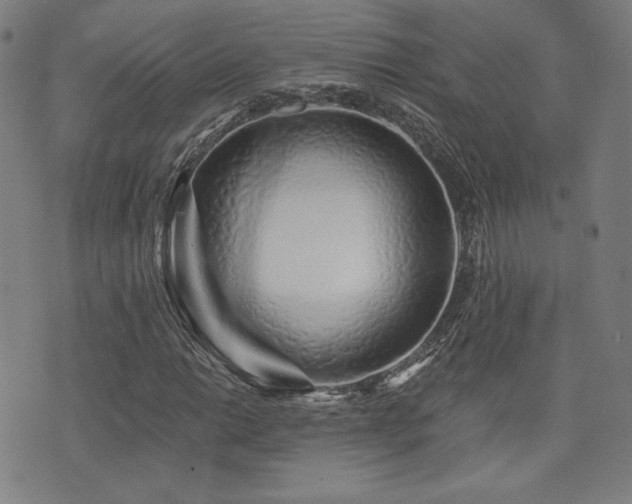 X0000072991014200607211153