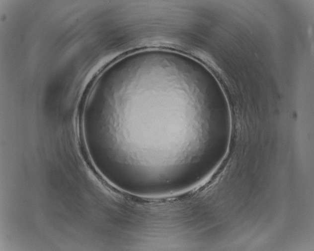 X0000072991032200607211153