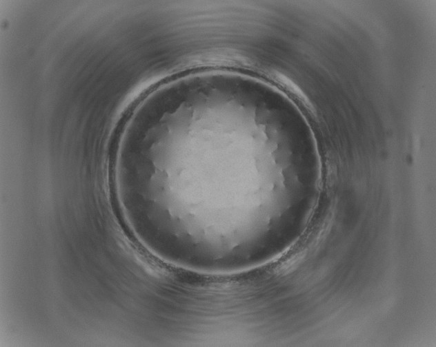X0000072991035200607211153