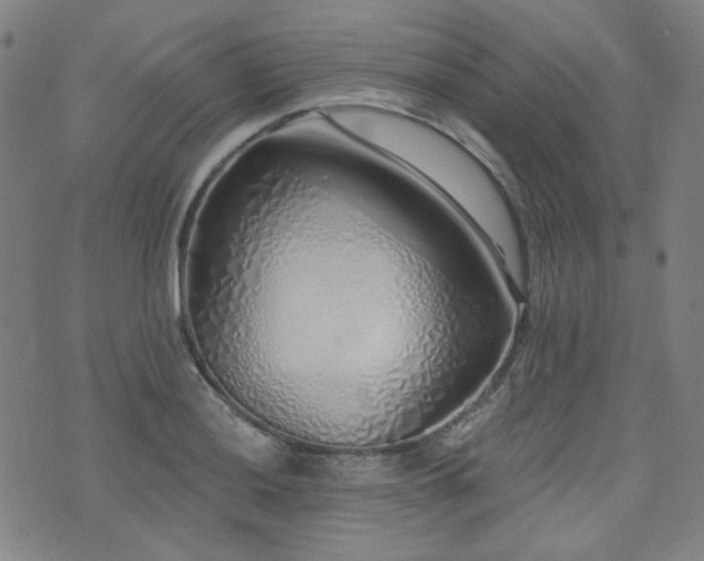 X0000072991036200607211153