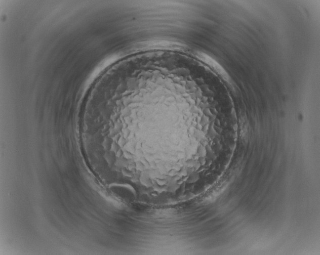 X0000072991043200607211153
