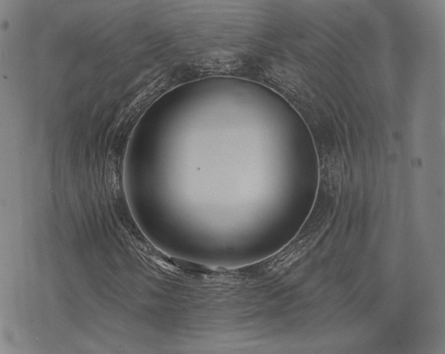 X0000072991058200607211153