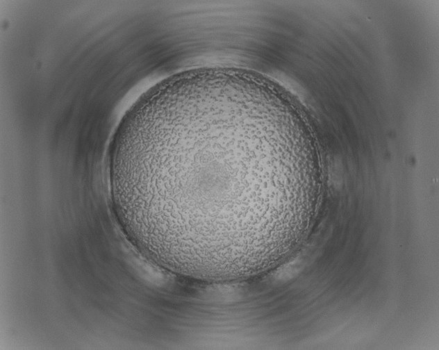 X0000072991078200607211153