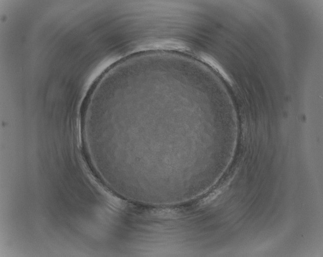 X0000072991079200607211153