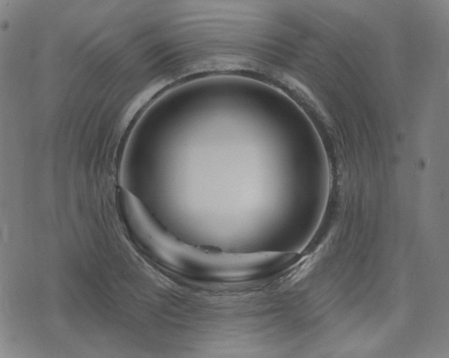 X0000072991081200607211153