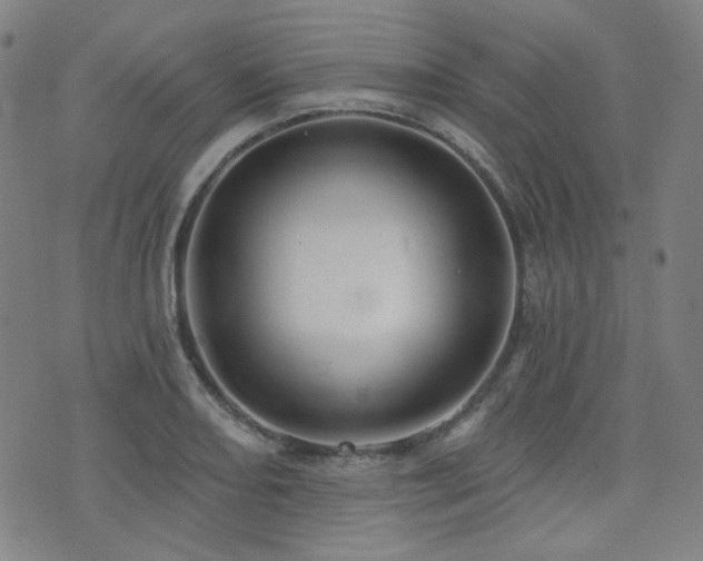 X0000072991082200607211153