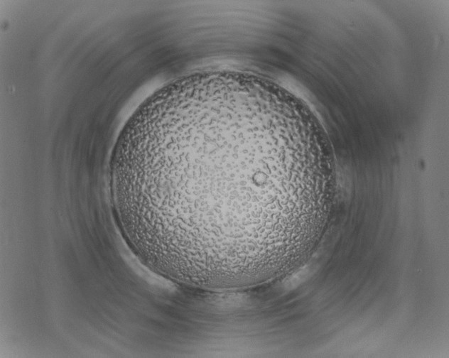 X0000072991090200607211152
