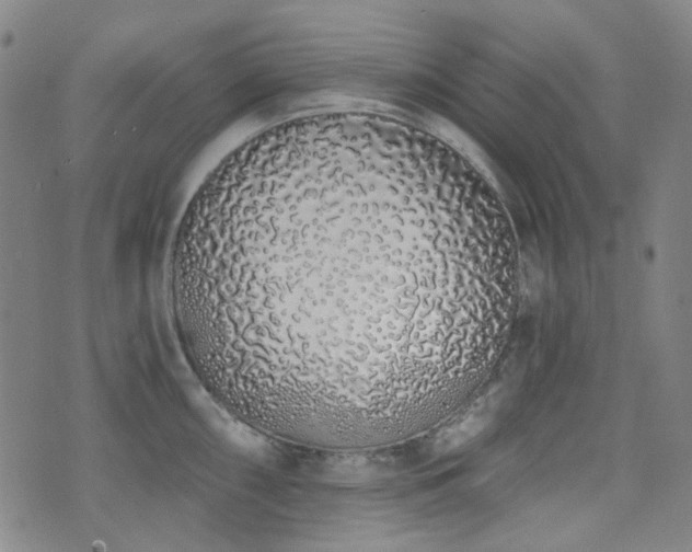 X0000072991098200607211152