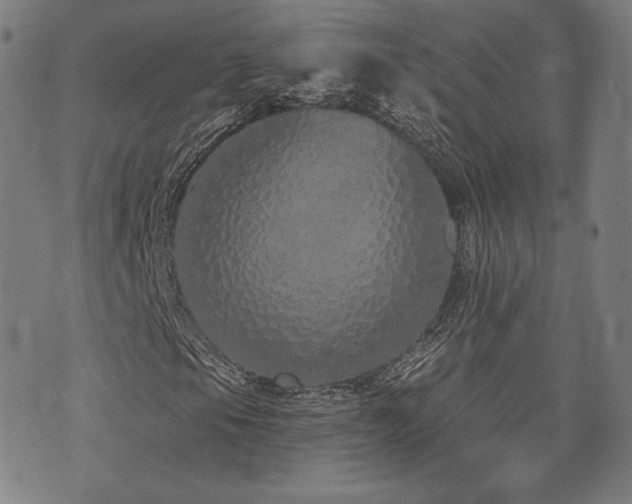 X0000072991105200607211151