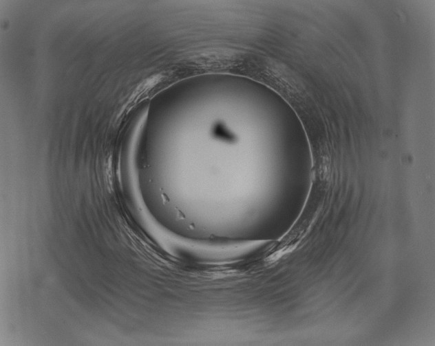 X0000072991108200607211151