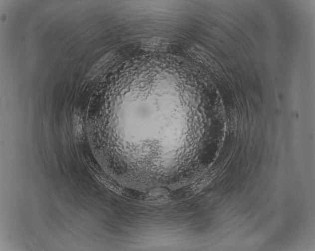 X0000072991154200607211151