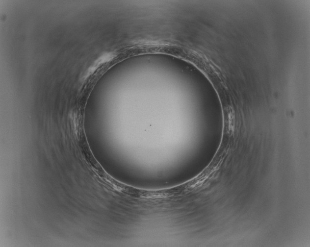 X0000072991157200607211151