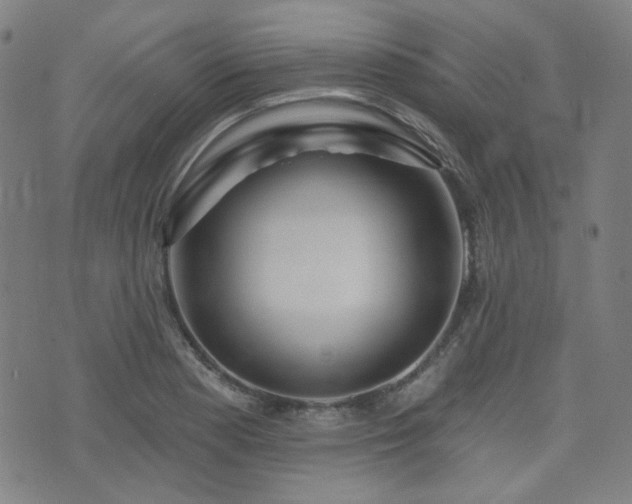 X0000072991177200607211151