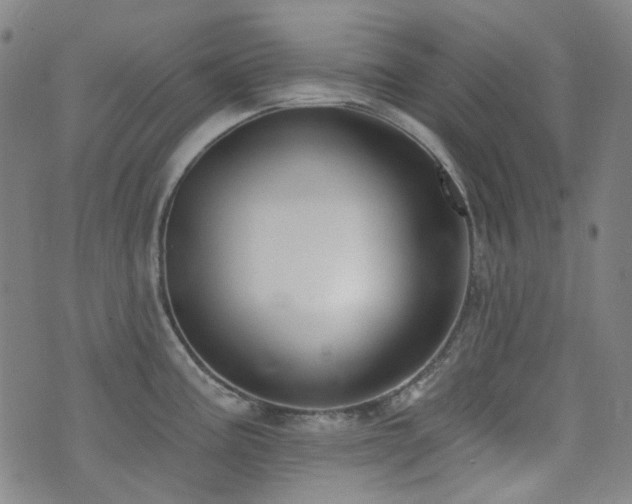 X0000072991195200607211151