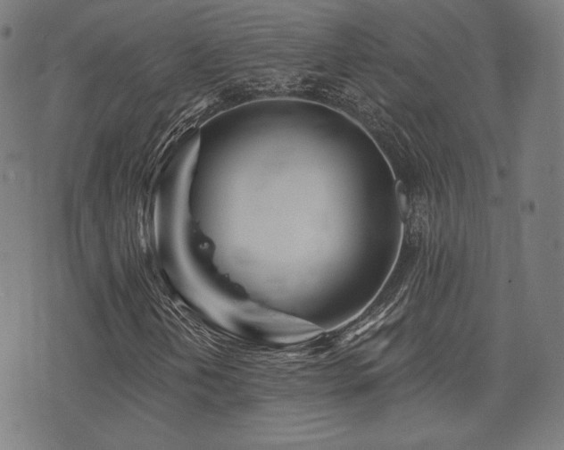 X0000072991202200607211150