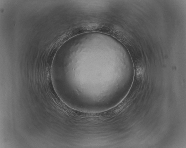 X0000072991204200607211150