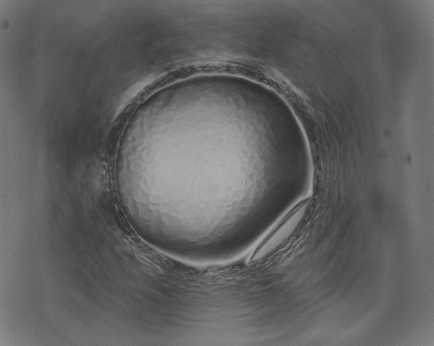 X0000072991208200607211150