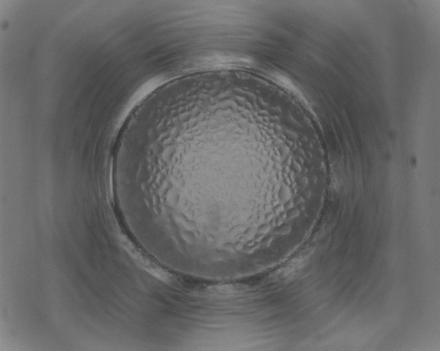 X0000072991227200607211150