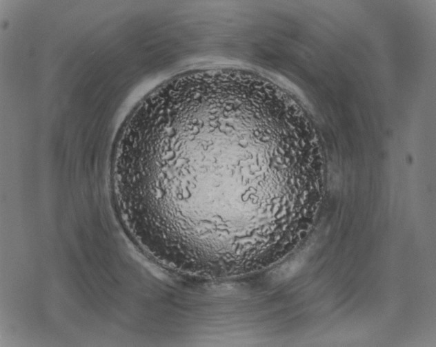 X0000072991231200607211150