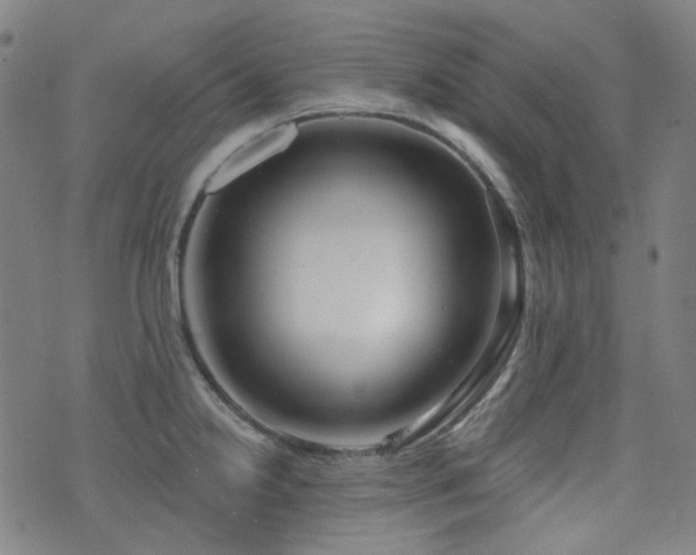 X0000072991238200607211150